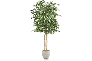 MAIA SHOP Piante Finte da Interno - Ficus 180 cm x 80 cm, Albero Finto con Vaso in Plastica, Pianta Finta Alta con Tronco in Legno Naturale, Decorazioni Casa