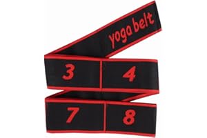 PAEFIU Elastici Fitness, 8 livelli di intensità Elastici Palestra Bande Elastiche Fitness Fascia Elastica Fitness per Yoga Pilates Fitness Allenamento