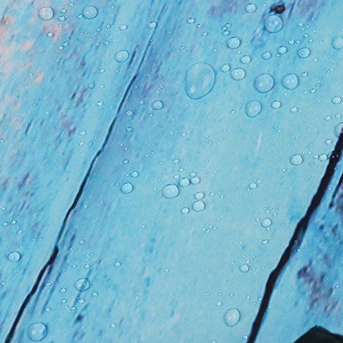 NWSS Duschvorhang mit Blaue Türschlüssel Design Muster für Bad-Dekorationen Wasserabweisend und antibakteriell Polyester-Gewebe Vorhänge mit 12 Haken (72″ x 78″ inch) - 5
