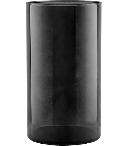 Vaas glas transparant 22,5 cm kopen? Glaswerk & vazen | Karwei