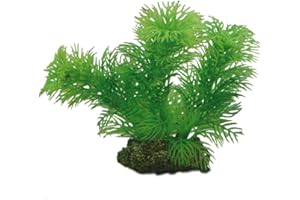 Hobby Egeria, 13 cm