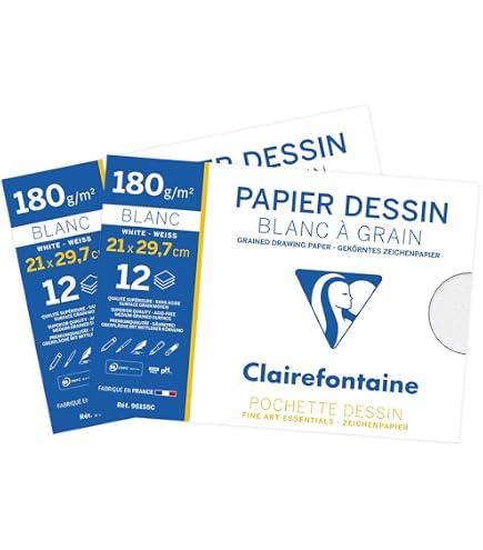 Papier Dessin Canson Grain C - 180 G/m² Format A4+ - Lot De 12 Feuilles Pour Encre, Gouache, Feutre - 6