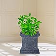 TULSI Pot 12 INCH Stone Finish German Polymer for Indoor/Outdoor USE GAMLA/GAMLE/Planter (Grey Marble)