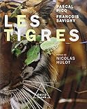 Les Tigres by 