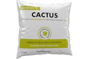 Kalapanta Terriccio per Piante Grasse, Cactus e Succulente, 2L Biologico e Naturale, Substrato Ideale per Cactacee da appartamento o balcone, Qualità Professionale Consentito in Agricoltura Biologica