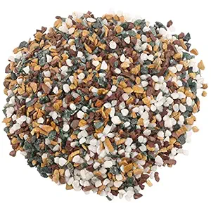 Maalavya 5 Kg Natural Tumbled Gravel Stone Marble Chips for Garden and Landscape Decoration