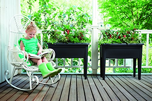 elho Green Basics Anzucht Tisch XXL – Lebhaft Schwarz - 5