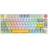 EPOMAKER TH80 Pro Tastiera Meccanica usb c/Bluetooth/wireless, retroilluminata che hot swap e personalizzabili con Rotellina 