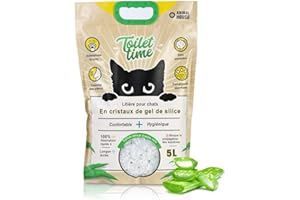 Animal House Toilet Time - Litière en Cristal de Silicium pour Chats 5 L - Antistatique et sûre - sans poussière - Ultra absorbante - Retient Les odeurs - 2,1-2,3 kg (Aloe, 5L)