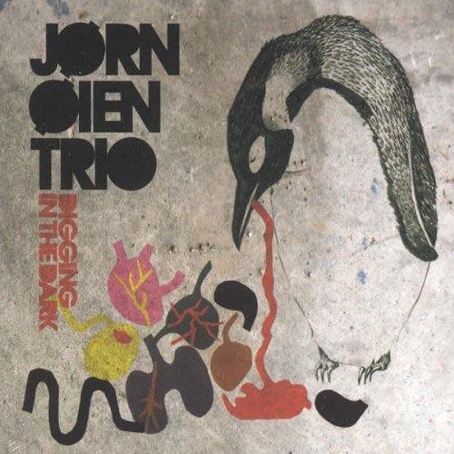 Jørn Øien Trio : Digging in the dark