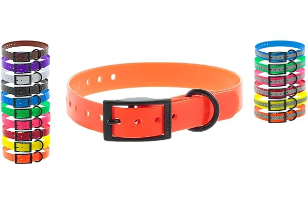 CANIHUNT Collier Xtreme Polyuréthane - Boucle Double - 16 Coloris (2.5 x 0.25 x 65 cm, Orange)