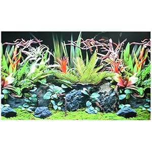 Rückwandfolie 120cm x 60 cm Rückwandposter für Terrarien