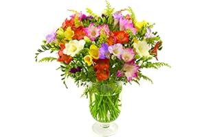 Sendabunch Mixed Freesia Bouquet – 30 Fresh Scented Stems, Hand-Picked Channel Island Flowers – 8-Day Freshness Guarantee – Ideal for Birthdays & Anniversaries
