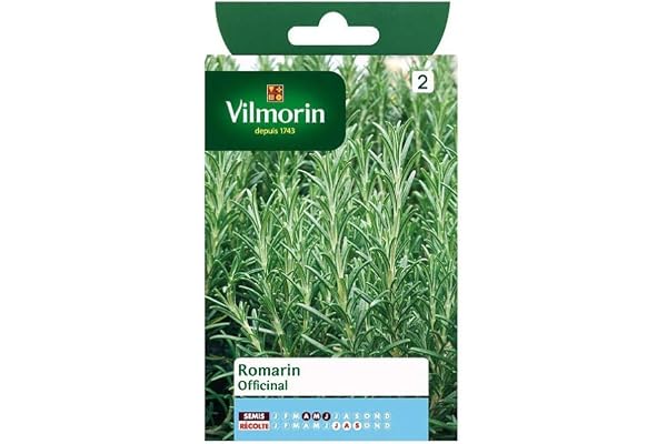 Vilmorin 5878846 Pack de Graines Romarin Officinal