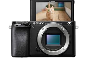 Sony Alpha 6100 | Appareil Photo Numérique Hybride APS-C (24, 2 MP, AF en 0.02s, Suivi des Yeux Humains et Animaux, Vidéo 4K, Ecran Selfie Vlogging) (ILCE6100, A6100)