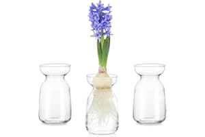 Hewory Petit Vase en Verre: Lot de 3 Vase Transparent Verre Vase Bulbe Jacinthe, Petit Vase pour Avocat Vase Fleur Vase Soliflore Verre Mini Vases Decoratifs en Verre pour Centre de Table, Maison