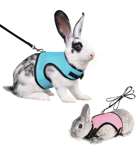 4er Set Hasen-Geschirr & Leine – Verstellbar Für Kleine Haustiere (Hals 18-26 Cm) – Bunte Designs