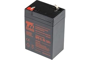 T6 Power Akku NP6-5, 6V, 5Ah
