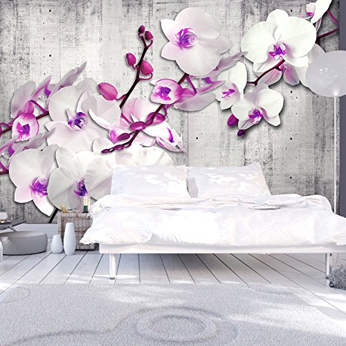 FOTOTAPETE 400x280 cm - VLIES TAPETE PREMIUM - PROFI QUALITÄT - 3 Farben zur Auswahl - Top moderne Wanddeko - Wandbilder XXL - Riesen Wandbild - Top Design Tapete - Neue exklusive Edition mit noch besser Druckauflösung - Deutsches Premium Vlies - Blumen Orchidee Beton b-A-0157-a-d