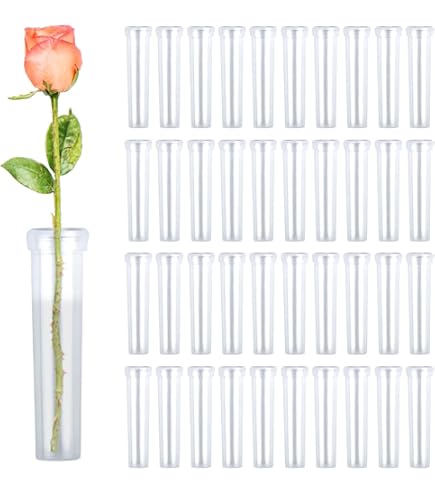 IPalamila 100 Reagenzgläser Blumen - Transparente Wasserrohrchen 7x1,8cm Mit Deckel