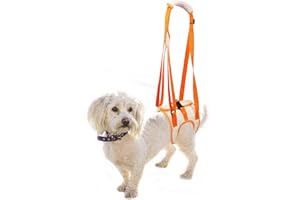 USYSGT Arnés de Elevación para Perros, Arnes Perro Displasia, Arnés de Elevación Portátil para Perros con Patas Traseras Débiles para Recuperación de Cirugía y Alivio del Dolor (M)