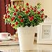 Produktbild Interesting® 1pc kleinen roten Beeren Äpfel Bouquet Artificial Silk Plastikblumen -Braut Aufkleber