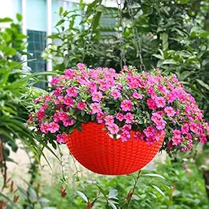 Kraft Seeds Hanging Planter Euro Elegance Round Solid Look and Feel Pots for Home & Balcony Garden 17.5cm Diameter Red