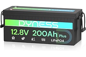 Dyness LiFePO4 Batería de Litio 12V 200Ah con BMS de 200A y Protección contra Bajas Temperaturas, 2560Wh para Ciclo Profundo en Marina/RV, Ideal para Solar, Overland/Furgonetas y Fuera de la Red