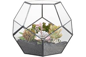 Wankd Sukkulenten-Halter, Messing-Glas, Pentagon, regelmäßig, Dodekaeder, geometrischer Terrariumbehälter, für Sukkulenten, Farn, Moos, Luftpflanzen, Halter Miniatur, für draußen, Feengarten