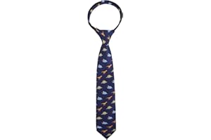 Alizeal Boys Zipper Novelty Tie Pre-tied Skinny Kids Children School Prom Party Necktie