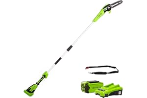 Greenworks G40PSFK2 Sierras telescópicas para exterior, Barra de 8 Pulgada (20 cm), Velocidad de Cadena 8 m/s, 3,64 kg, Autoengrasado, Poste 2.58m, Batería 40V 2Ah y Cargador, Garantía de 3 Años