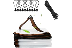 JIAHUADE Plandeka Wodoszczelna Przezroczysta PCW z Oczkami - Folia do Ogrodu (3 x 4 m)