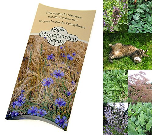 Saatgut Set: 'Katzenkräuter', 3 Pflanzen die ihre Katze lieben wird, Samen in schöner Geschenk-Verpackung