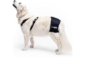 Ortocanis - Soporte de Cadera para Perros con Displasia de Cadera o Artrosis, Talla S