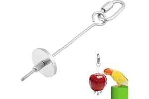 Zyyini Birds Food Holder, Stainless Steel Parrot Fruit Vegetable Skewer Hanging Small Animal Food Feed Tool For Small Animal Bird Toys