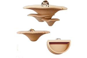 Okueejur 2 Pack Jumping Spider Enclosure Mushroom Ledges with Magnets for Spoods Jumping Spiders Magnetic Ledge Ladder Pet Spider Accessories (beige)