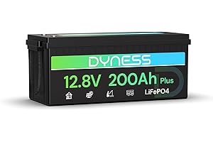 Dyness LiFePO4 Batería de Litio 12V 200Ah con BMS de 200A, 2560Wh para Ciclo Profundo en Marina/RV, Ideal para Solar, Overland/Furgonetas y Fuera de la Red