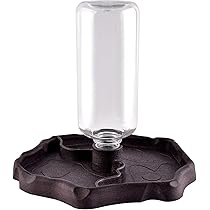 2 Ciotole Per Tartaruga E Rettili - Forma Foglia, Piccola E Grande - Per Cibo E Acqua - Foto 4