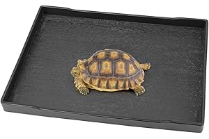 Qerutk Reptile Water Dish, Tortoise Water Bowl, Reptile Accessories, Rectangular Tray, Snake Water Bowl, Washing Tray, Plastic Plate, Ideal for Bathing Feeding - L Size Black Shallow