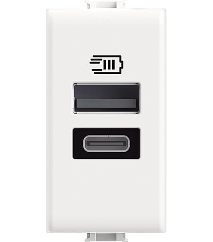 Presa USB Doppia Da Muro 5V 4A 2 Pezzi - Caricatore A Scomparsa Compatibile Con VIMAR PLANA - Bianco