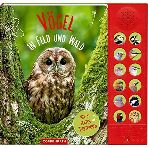 Vögel in Feld und Wald: Mit 12 echten Tierstimmen Vögel in Feld und Wald: Mit 12 echten Tierstimmen