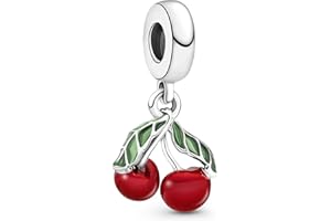 Ruaidhra Sterling Silber Charms Anhänger,Kreuz Herz Blumen Kleeblatt Schildkröte Tier Charms für Armband Halskette,Vielfältig Charm Clip Stopper Bead Charms für Damen