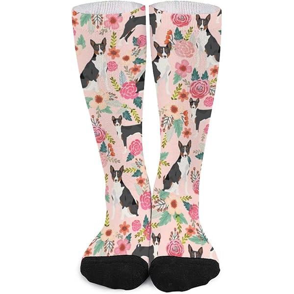 Lot De 4 Paires De Chaussettes Teckel - Motifs Chiens Amusants - Cadeau Pour Amoureux Des Animaux