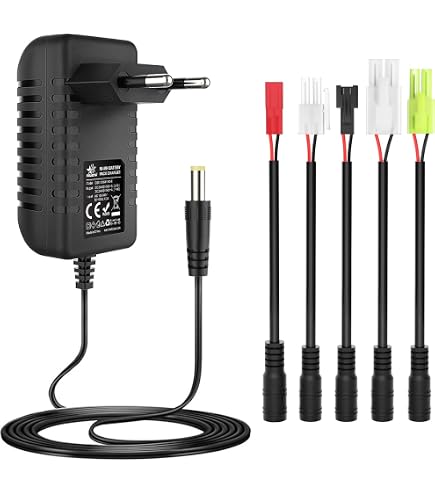 Aliwisdom Chargeur USB RC Universel SM-2P 4.8V Pour Batteries NIMH/NICD - Voiture Bateau Drone Avion
