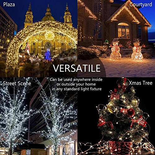 Eastlion Bunte Ferien 10 Meter Silber Draht Dekorieren Schnur Licht mit DC Power für Chrismas, Halloween, Silvester, Hochzeit Hintergrund Layout, Hotels, Restaurants, Bürogebäude, Wohnhaus, Schaufenster, Clubs, Konzerte, Warmweiß - 3