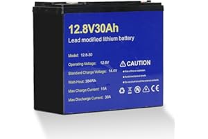 JOYYKO Lifepo4 30Ah 12V Lithium Batterie,Lifepo4-Batterie 12,8 V 30 Ah mit 15000 tiefen Zyklen und BMS-Schutz, 30 Ah Multifunktionale Tragbare Batterien Perfekter Ersatz für BIei-Säure Ba (12.8v/30AH)
