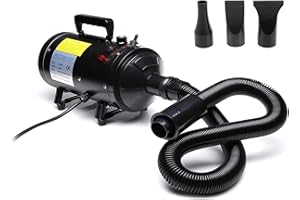 DICN 2800W Professional Motorcycle Power Dryer Car Blower Duster Flexible Hose High Pressure Air Flow Pet Hair Dryer