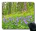Produktbild Oblong Shaped Mouse Pad for Custom Design - Forest Valberg France