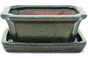 EXOTENHERZ Bol de bonsaï avec soucoupe - Taille : 1 - Marron olive - Modèle : G13 - Longueur : 12 cm - Largeur : 9,5 cm - Hauteur : 4,5 cm