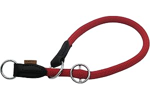 Aiminto Braided Collar, Pro Training Dog Collar, No Pull Round Martingale Collar, Slip Collar with Slidable Stop Ring - Ideal for Large Dogs (L(1/2") - 22" Long, Red)